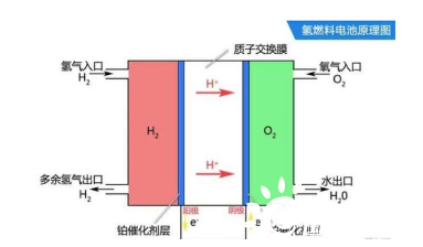 氢燃料电池新浪潮，企业争先发力：你氢醒了吗？