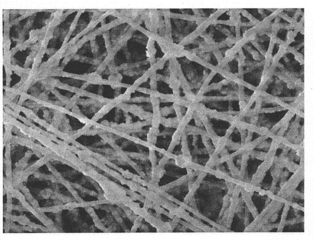 研究人员开发出用于高效制氢的光催化纳米纤维